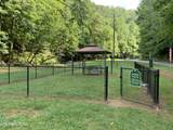 Lots 1 2 3 Timber Grove Rd - Photo 26