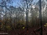 Lot 675 Chimney Rock Road - Photo 16