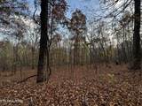 Lot 675 Chimney Rock Road - Photo 19