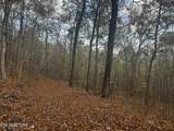 Lot 675 Chimney Rock Road - Photo 29