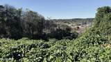 Lot 25 Chapman View Drive - Photo 2