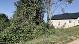 Lot 25 Chapman View Drive - Photo 3