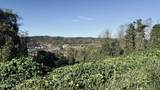 Lot 25 Chapman View Drive - Photo 4