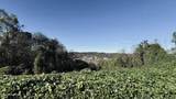 Lot 25 Chapman View Drive - Photo 8