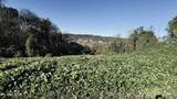 Lot 25 Chapman View Drive - Photo 9