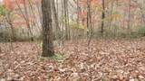 Lot 349 Drew Court - Photo 17