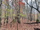 Lot 7 Raby Hollow Rd - Photo 1