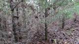 Lot 27 North Star Rd - Photo 12