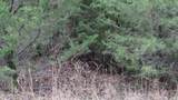 Lot 27 North Star Rd - Photo 13