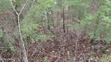 Lot 27 North Star Rd - Photo 6