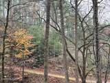  Big Buck Tr - Photo 7