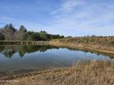 591 Glades Rd - Photo 6