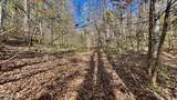 8 LOTS Grassy Branch Loop - Photo 20