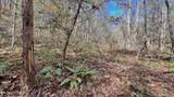 8 LOTS Grassy Branch Loop - Photo 21