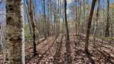 8 LOTS Grassy Branch Loop - Photo 27