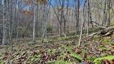 8 LOTS Grassy Branch Loop - Photo 30