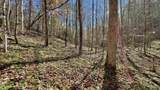 8 LOTS Grassy Branch Loop - Photo 32