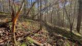 8 LOTS Grassy Branch Loop - Photo 33