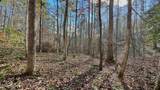 8 LOTS Grassy Branch Loop - Photo 35