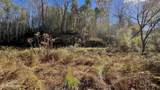 8 LOTS Grassy Branch Loop - Photo 39