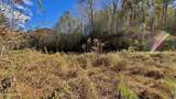 8 LOTS Grassy Branch Loop - Photo 40