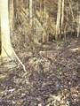248 Norman Rd - Photo 6