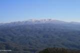 Tract 29R3 Chilhowee Mountain Tr - Photo 12
