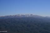 Tract 29R3 Chilhowee Mountain Tr - Photo 13
