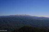 Tract 29R3 Chilhowee Mountain Tr - Photo 15