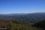 Tract 29R3 Chilhowee Mountain Tr - Photo 16