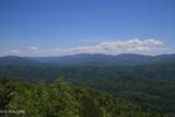 Tract 29R3 Chilhowee Mountain Tr - Photo 29