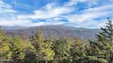 Tract 29R3 Chilhowee Mountain Tr - Photo 3