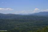 Tract 29R3 Chilhowee Mountain Tr - Photo 31