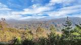 Tract 29R3 Chilhowee Mountain Tr - Photo 4