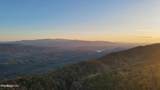 Tract 29R3 Chilhowee Mountain Tr - Photo 8