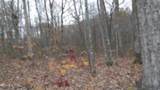 Lot 23 Cumberland Cove Rd - Photo 9
