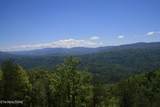 Tract 31 Chilhowee Trail - Photo 19