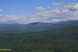 Tract 31 Chilhowee Trail - Photo 23