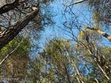 1550 Chapel Hollow Rd - Photo 10