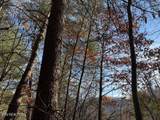 1550 Chapel Hollow Rd - Photo 13
