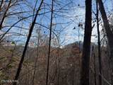 1550 Chapel Hollow Rd - Photo 6