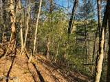 1550 Chapel Hollow Rd - Photo 9