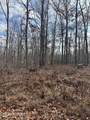  Peachtree Drive - Photo 3