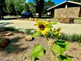 Lot 98 Highway 73 - Photo 4