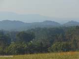 6335 Nine Mile Rd - Photo 1