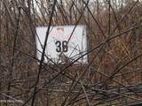 Lot 36 Lanis Rd - Photo 1