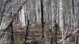 Lot 46 Cheyenne Drive - Photo 18