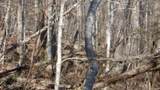 Lot 46 Cheyenne Drive - Photo 19
