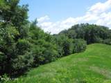 Lot 65AA Turtle Rd - Photo 2