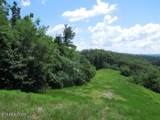 Lot 65AA Turtle Rd - Photo 6